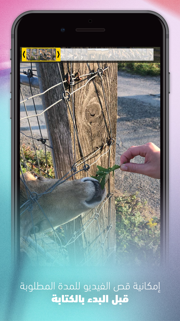 الكتابة على الفيديو - خط عربي