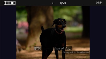 瞬間 - Time of dogs.のおすすめ画像1