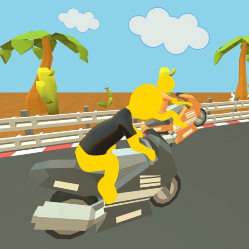 Motorcycle Race-Highway Rider Icon