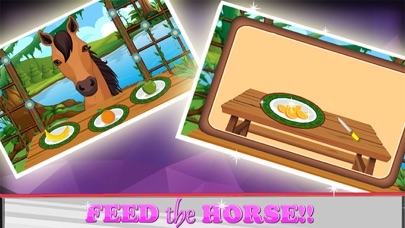 Royal Horse Care Screenshot