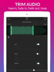 video için müzik ekle ipad resimleri 4