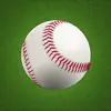 Baseball Stats Tracker Touch problems & troubleshooting and solutions