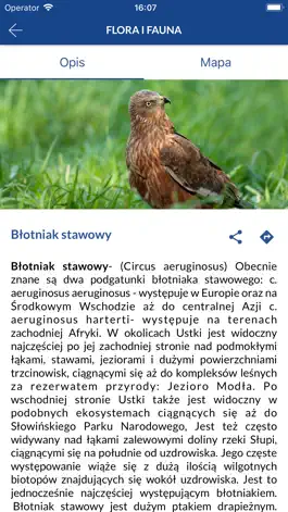 Game screenshot Skarby Usteckiej Przyrody hack