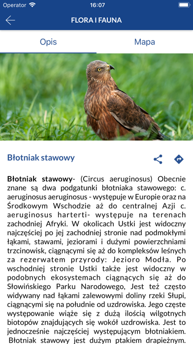 Screenshot #3 pour Skarby Usteckiej Przyrody