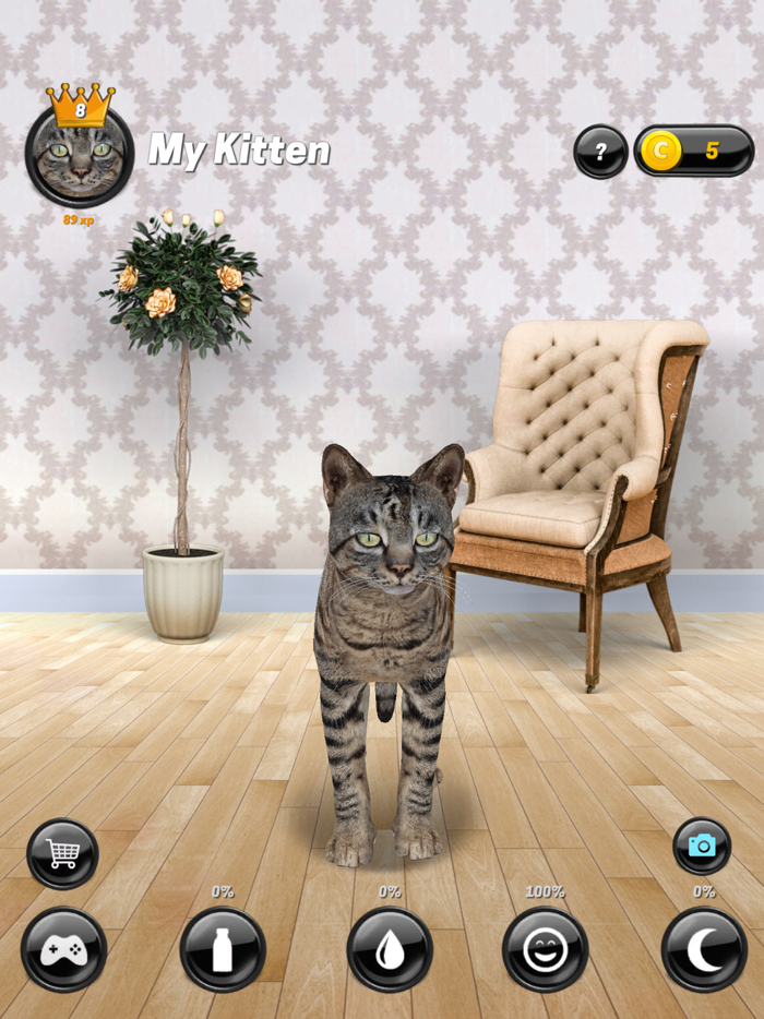 My Kitten Cat Simulator