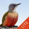 Similar Sasol eBirds South Africa LITE Apps