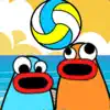 Beach Volleyball (2 players) negative reviews, comments