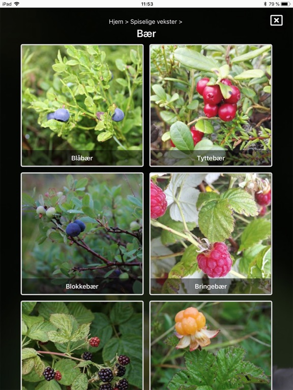 Screenshot #6 pour Spiselige vekster i naturen