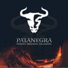 Patanegra icon