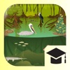 iBiome-Wetland: School Edition - iPhoneアプリ