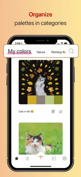 Game screenshot Color Collect - Palette Studio hack