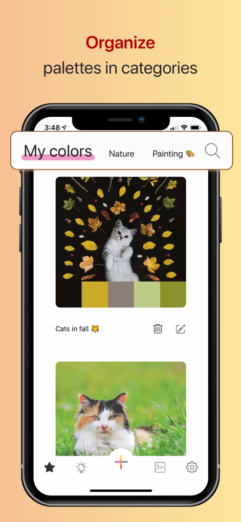 Color Collect - Palette Studio - 