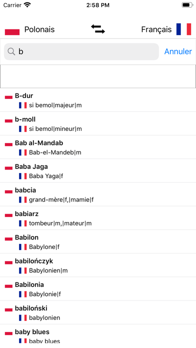 Dictionnaire Polonais-Français Screenshot