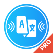 Voice Translator Pro