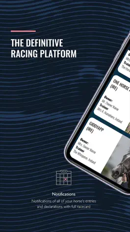 Game screenshot The Racing Manager mod apk