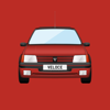 Peugeot 205 GTI - Veloce Publishing