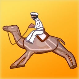 Courses de chameaux forains