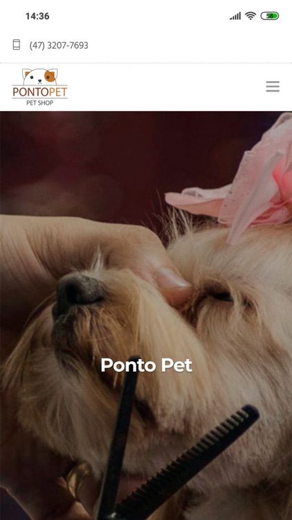 PetShop Ponto Pet Joinville