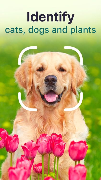 Plants, Cats & Dogs Scanner screenshot-6