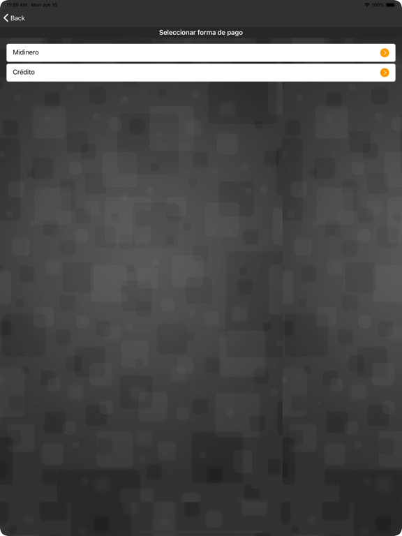 PuntoExpress iPad screenshot