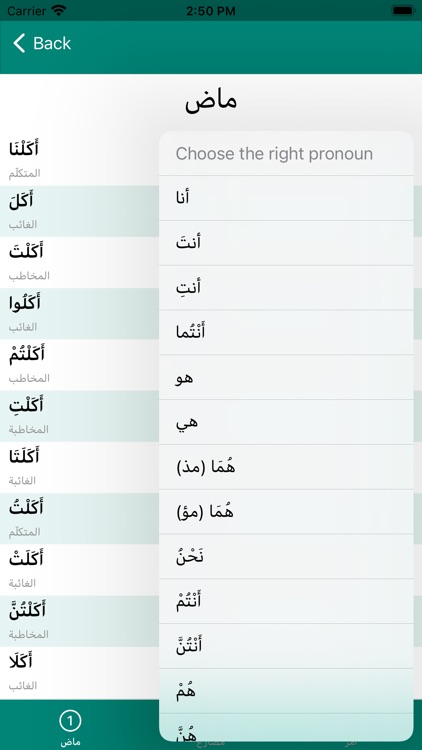 Arabugator, Arabic conjugation screenshot-3