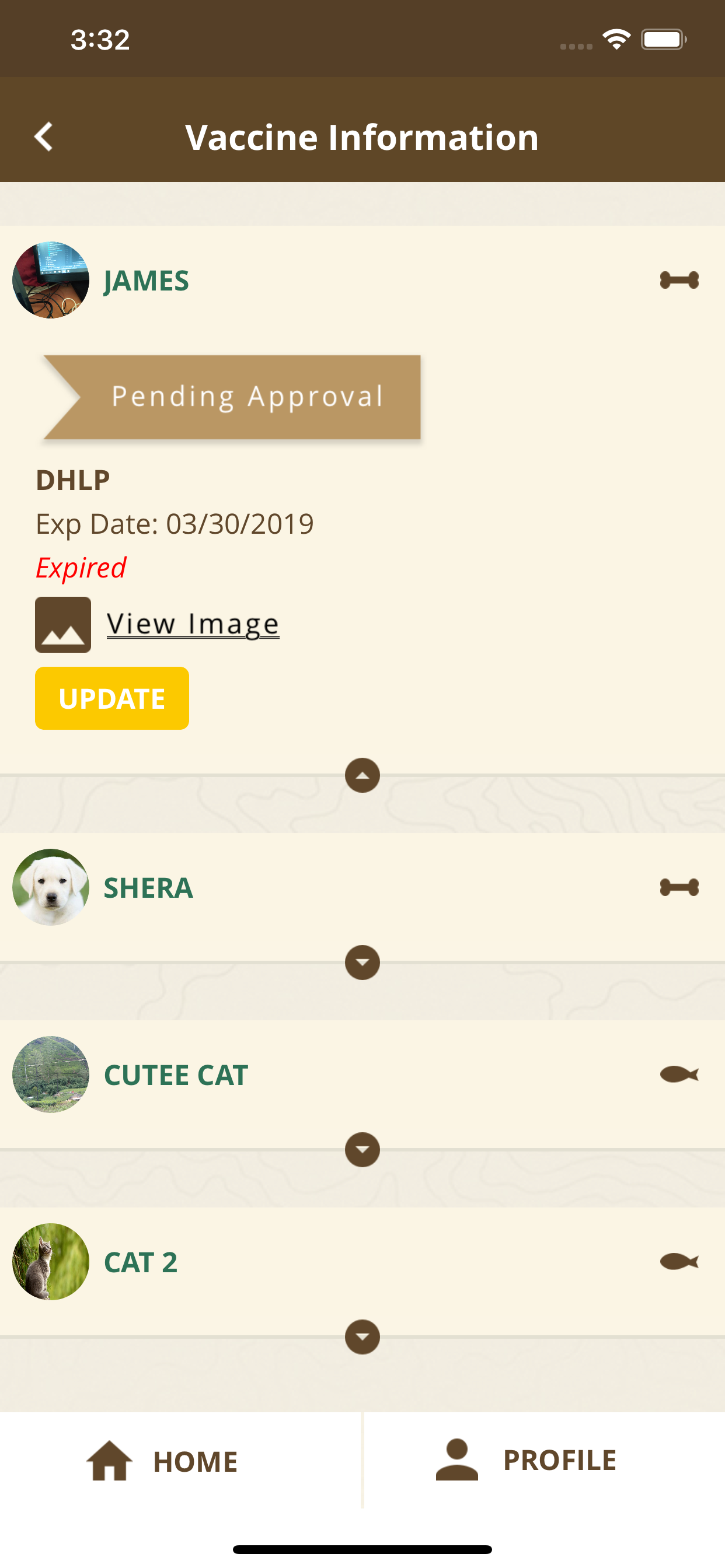 Pet Camp
