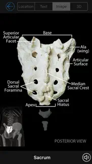 skeletal anatomy 3d iphone screenshot 3