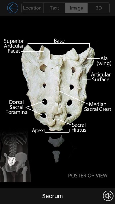Skeletal Anatomy 3Dのおすすめ画像3