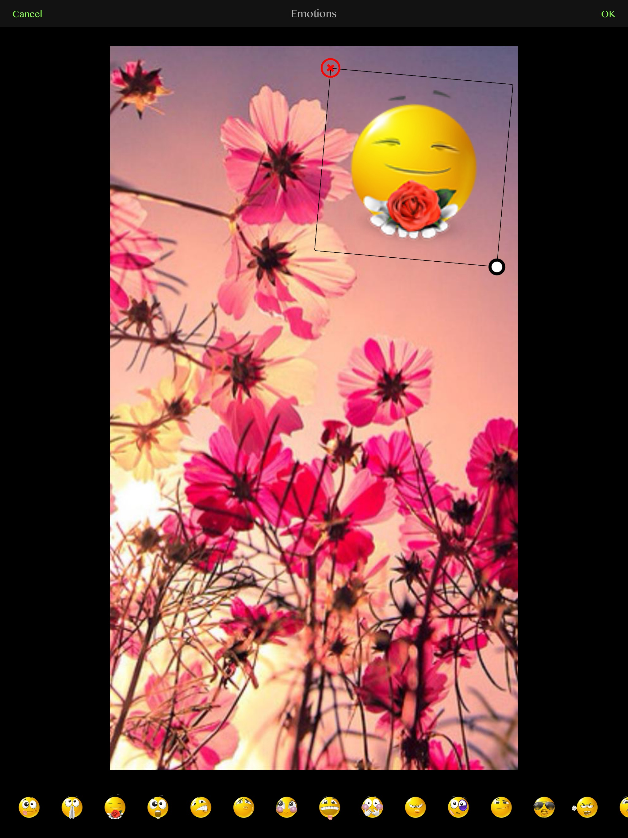 Photo Editor - PhotoZen screenshot 19