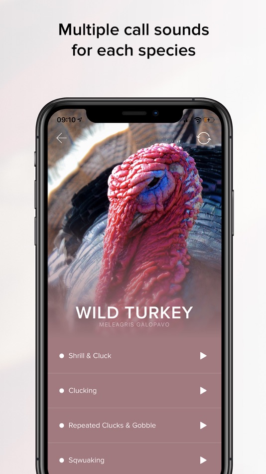 #5. Game Calls USA (iOS) By: Grant Nicholson
