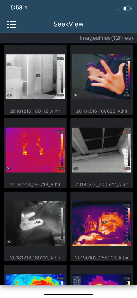 SeekView