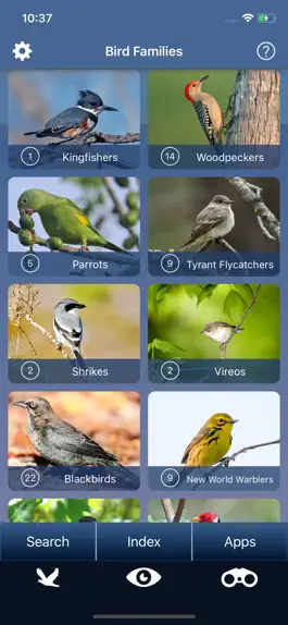 Game screenshot Bird Id USA - backyard birds mod apk