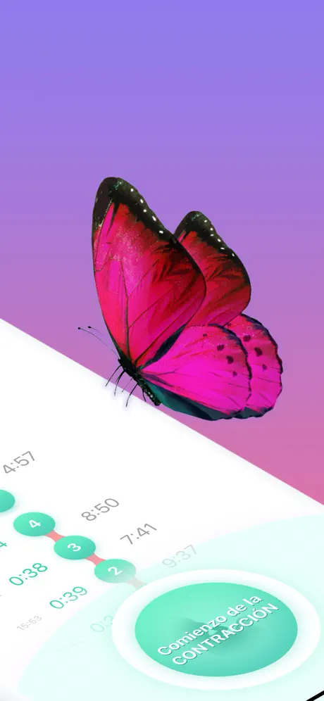 Contraction Counter. Pregnancy