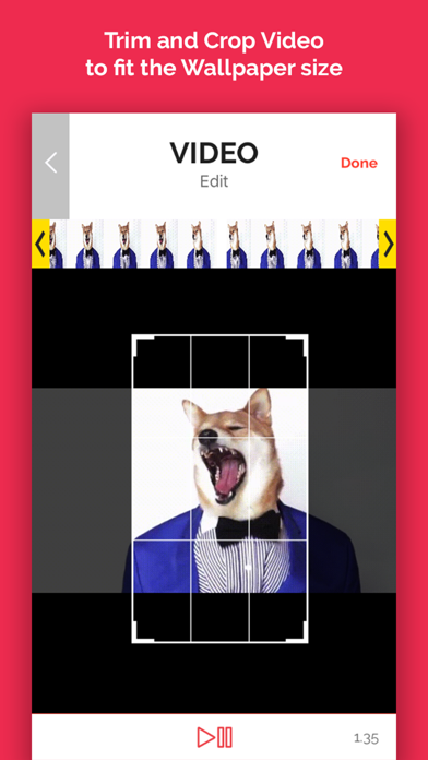 LivGIF - Discover &Convert GIF Screenshot