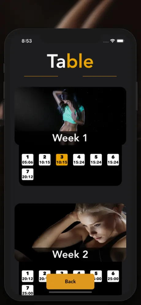 Weider 6 Pro: ABS, A6W, 6 pack