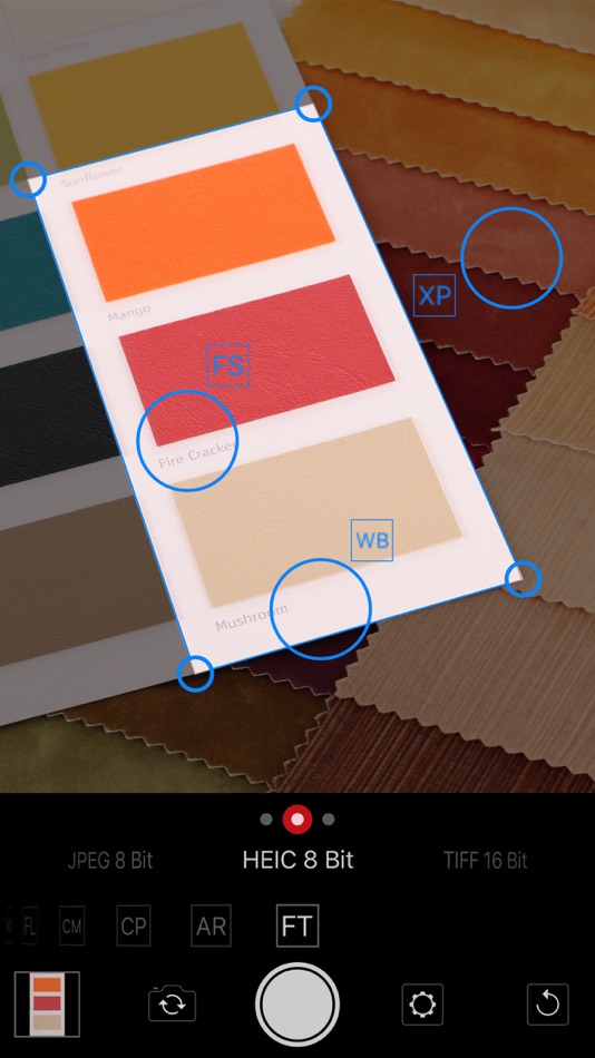 #6. Gimbse Camera (iOS) Por: Christian Kappertz