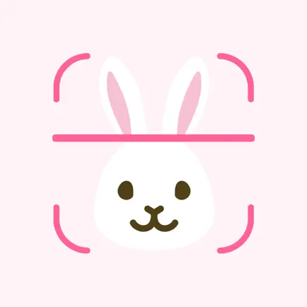 Animal Face AI Test Cheats
