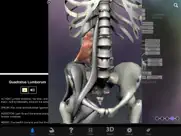 muscle & bone anatomy 3d айпад изображения 2