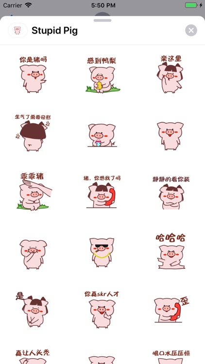 Stupid Pig Stickers