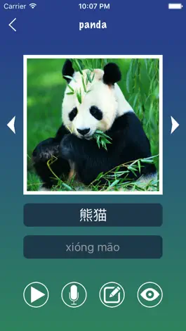 Game screenshot Chinese Word Flashcards Easy hack