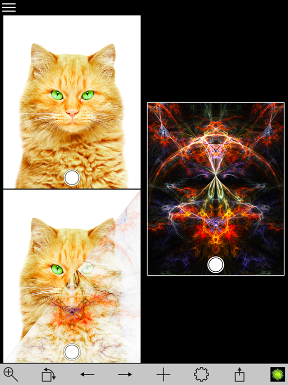 Chaos Lens iPad screenshot 6 - Photo & Video app