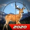 Perfect Deer Hunt Expert 2020