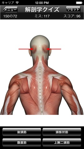 解剖学クイズのおすすめ画像4