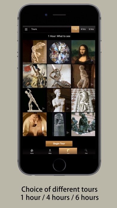 How to cancel & delete Louvre Visitor Full Edition from iphone & ipad 4