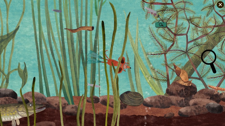 Little Mouse's Encyclopedia