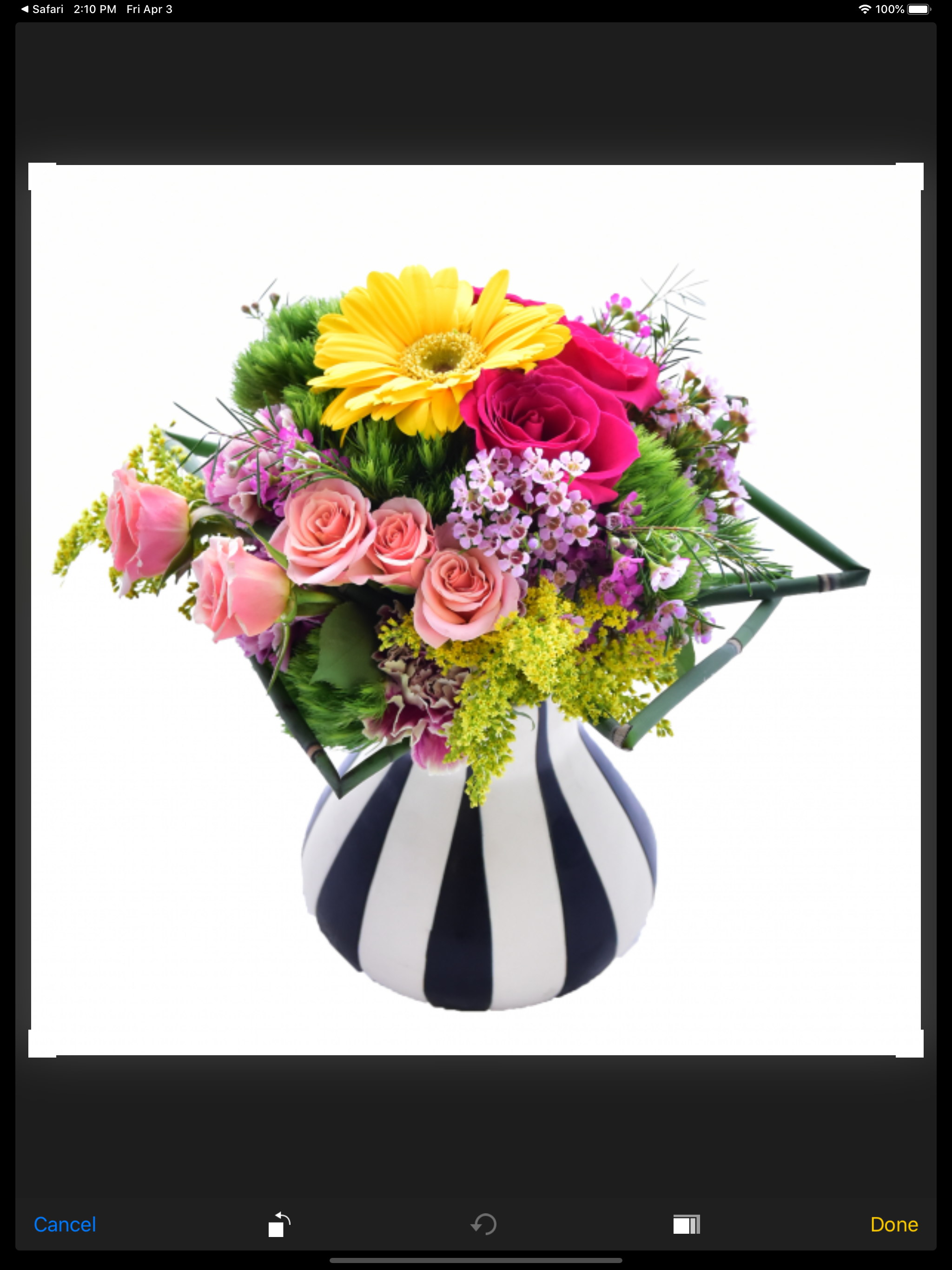 GotFlowers screenshot 8