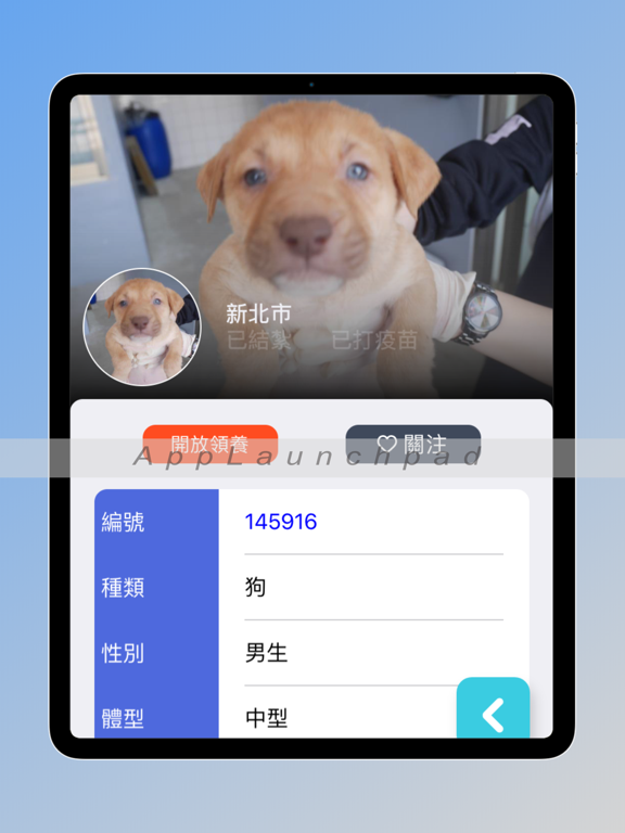 領養浪我回家: 救救流浪貓狗 iPad screenshot 2 - Reference app