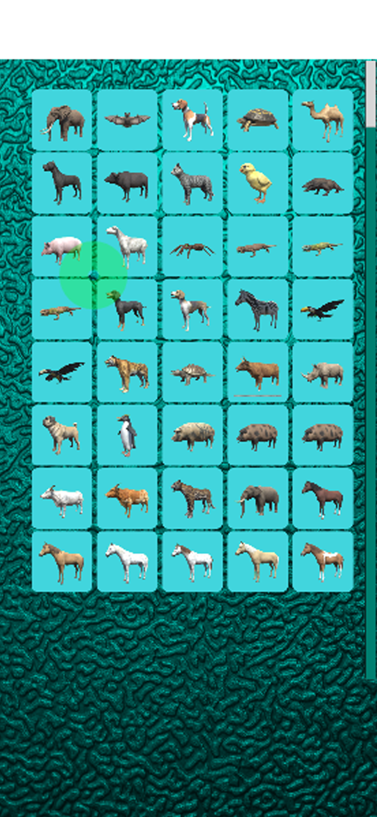 3D Animals
