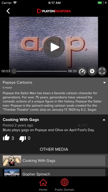 playondiaspora screenshot-5