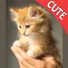 Cute Cats Memory Match Game App Feedback